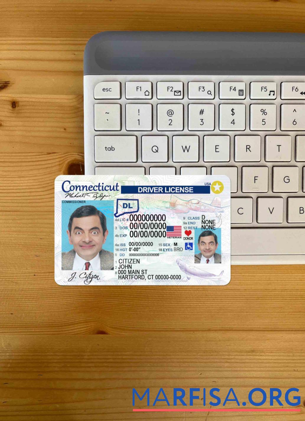 Downloadable USA Connecticut DL photolook sample